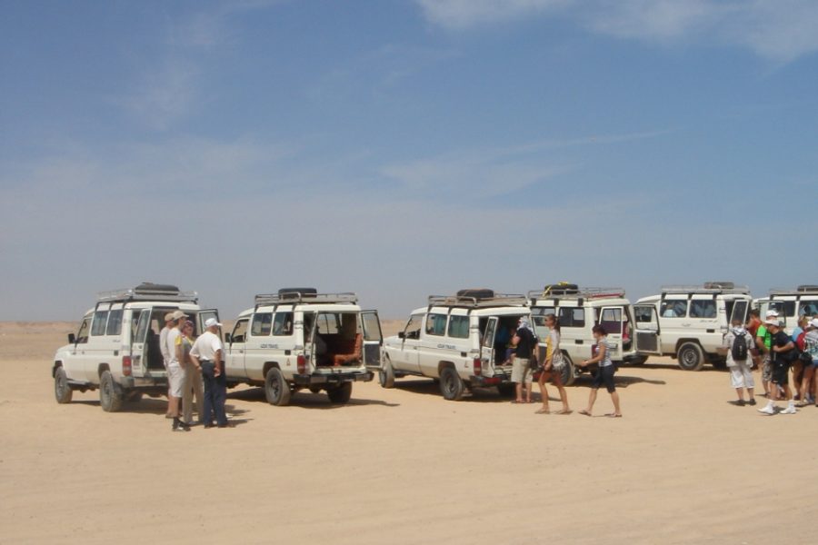 Super Safari
