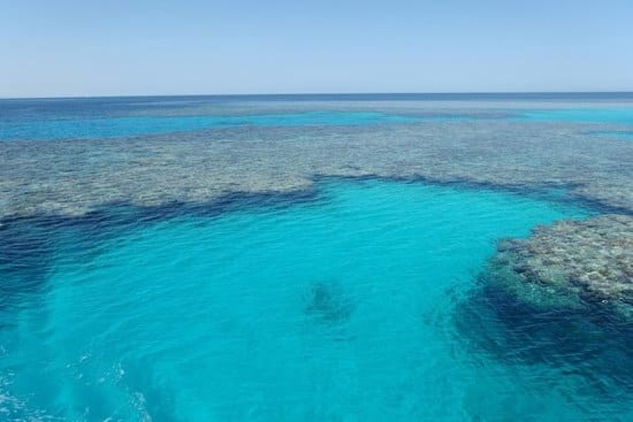 Abu Dabab Turtles bay